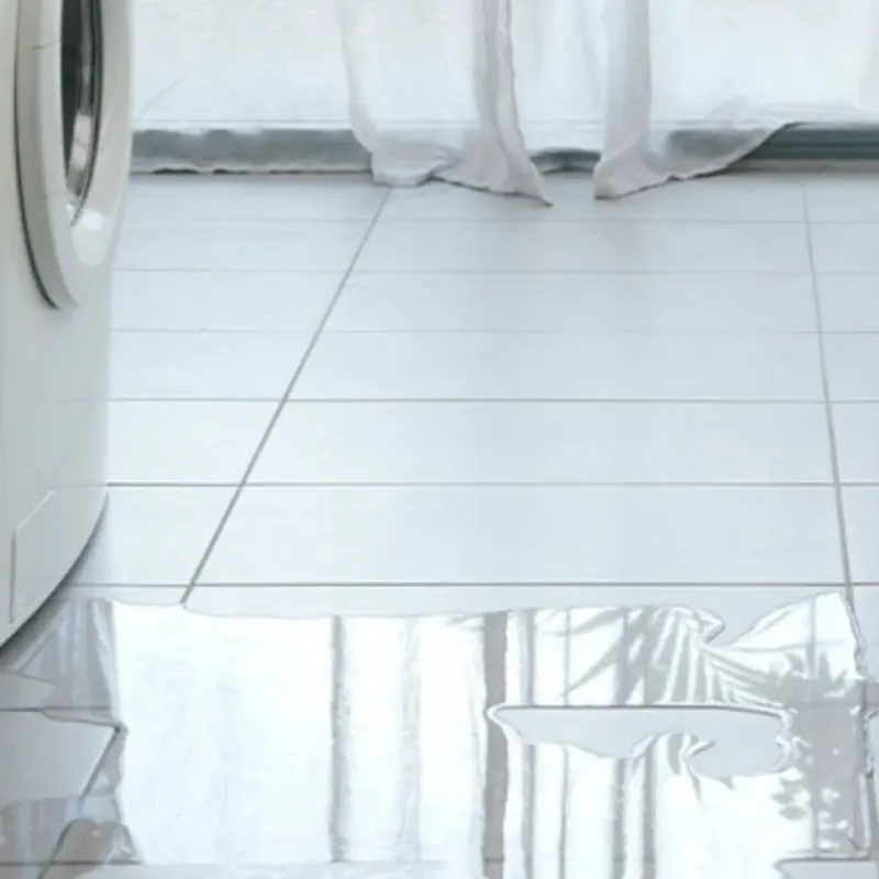 Appliance Leak Cleanup in River Rouge, MI
