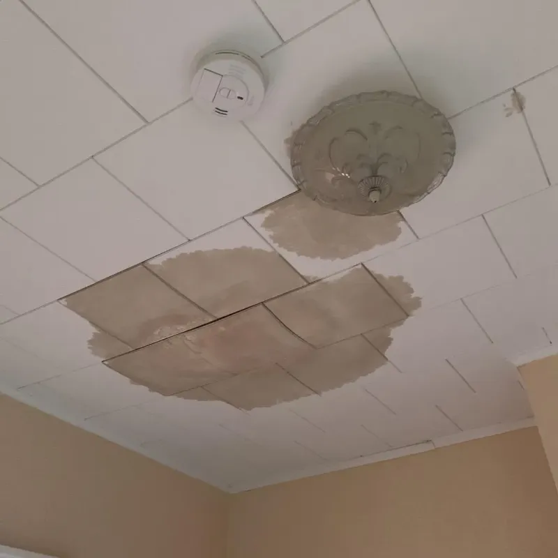 Ceiling Water Damage Repair in River Rouge, MI