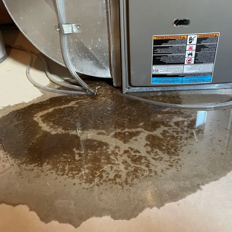 Pipe Burst and Leak Restoration in River Rouge, MI